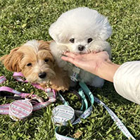 비주얼 이미지1