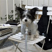 비주얼 이미지1