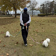 비주얼 이미지3