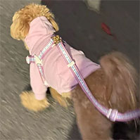 비주얼 이미지4