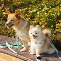 비주얼 이미지5